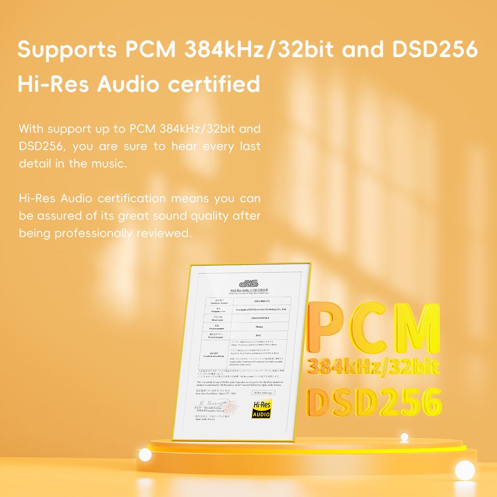FiiO/Snowsky Melody amplificat - Dual Ess9038 Dac avis et prix