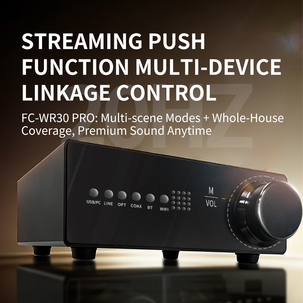 WR30 PRO WiFi Bluetooth Music  - Dac Streamer Network Player avis et prix